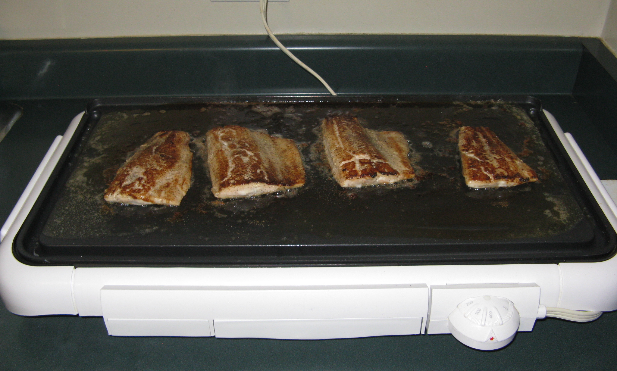 Brazed Salmon or Trout 13.jpg