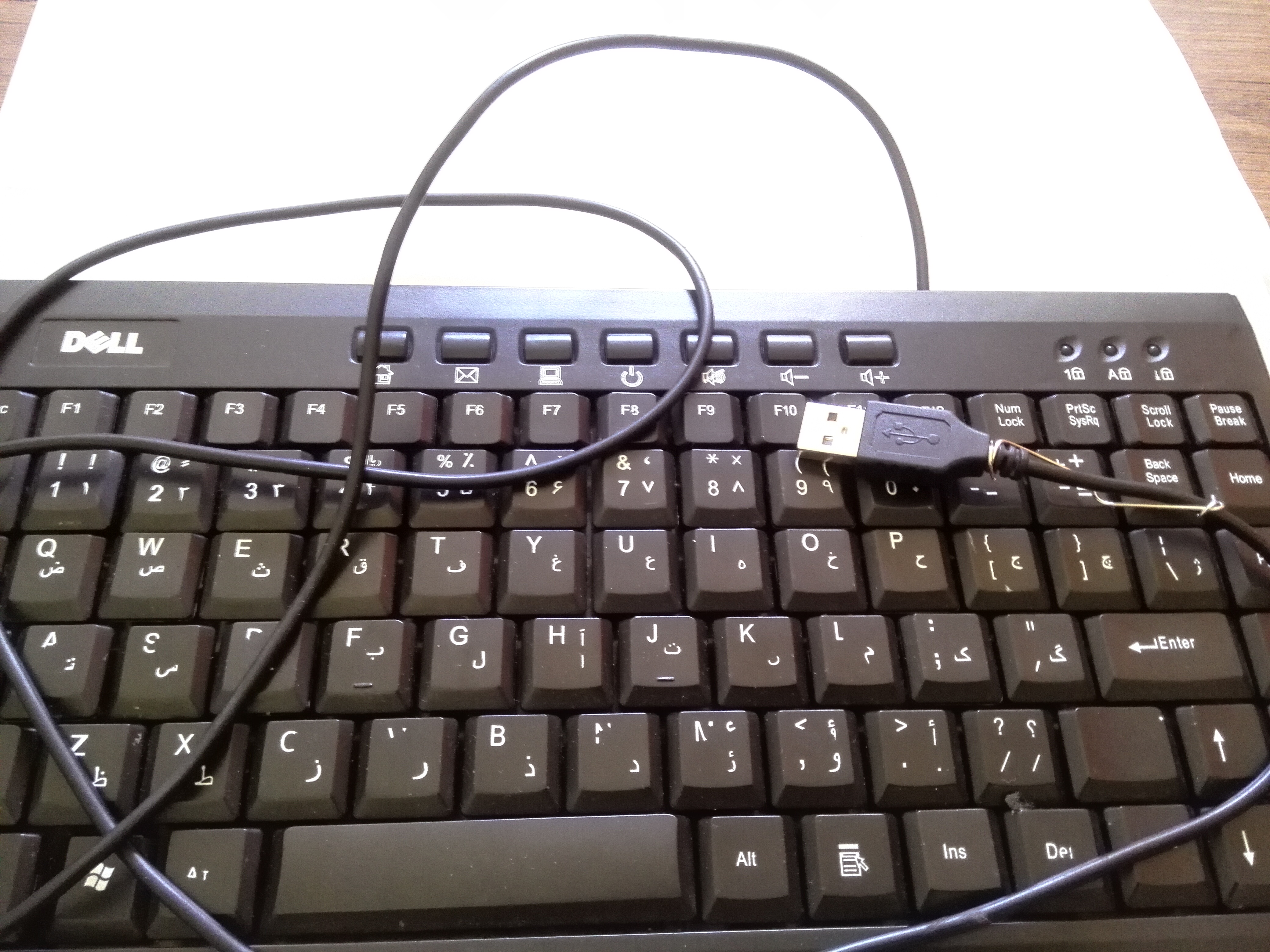 Broken Keyboard &amp; It's USB Cable.jpg