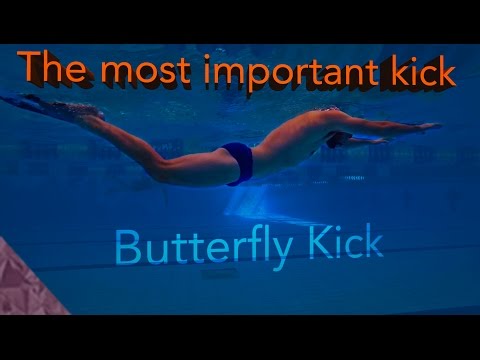 Butterfly swimming kick. Improve your underwater and fly kick. Beginners and Intermediate