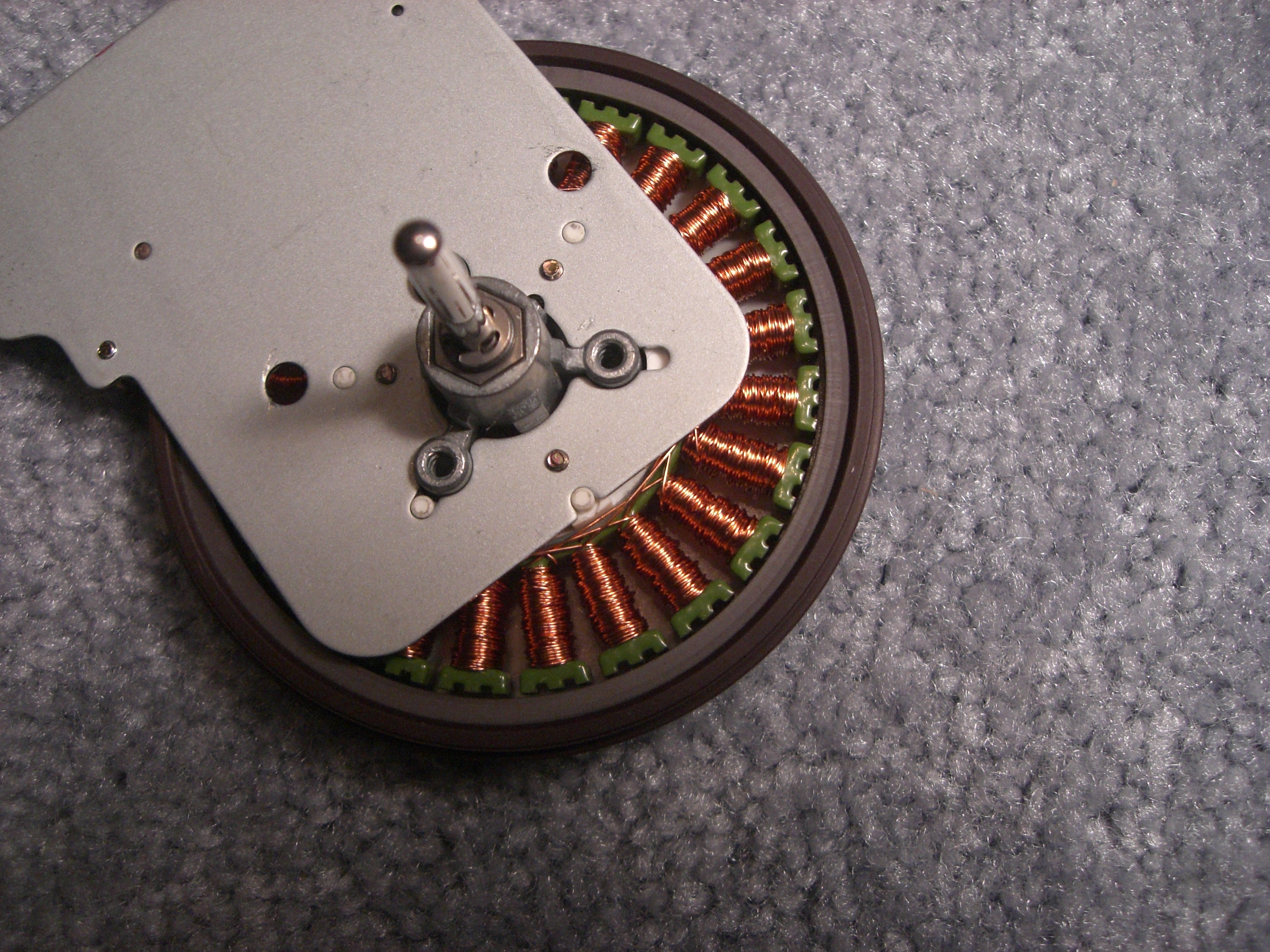 CIMG0728.jpg