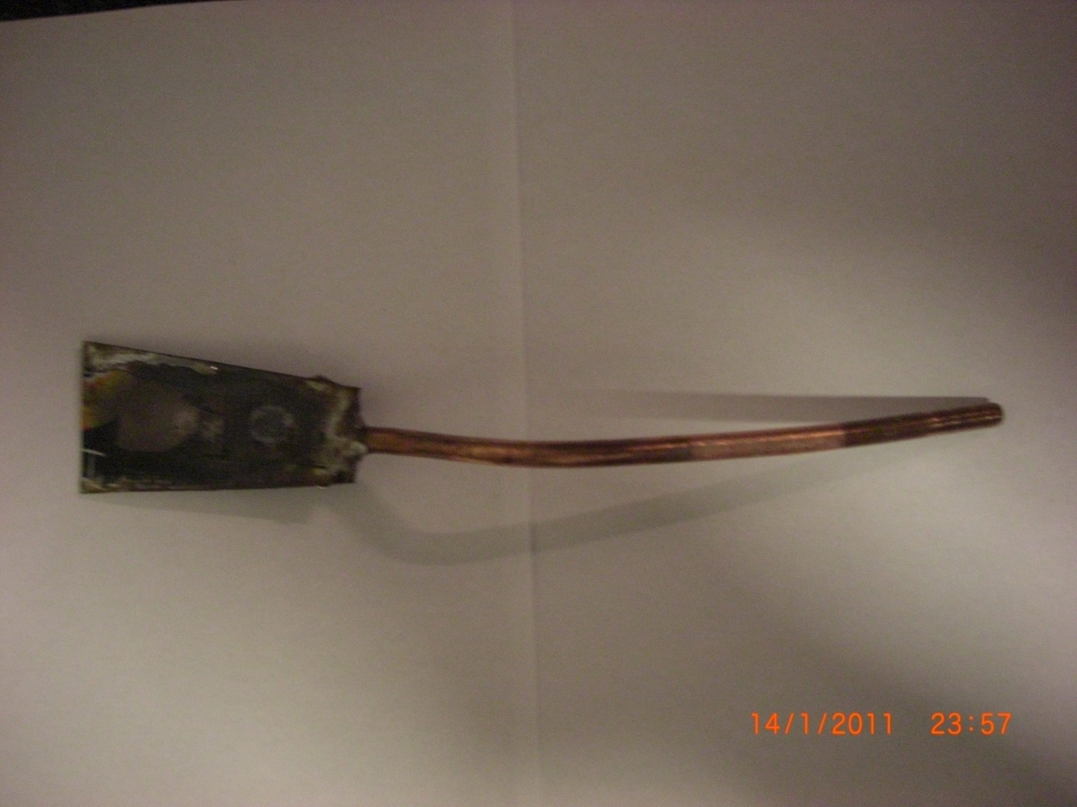 CIMG1134.JPG