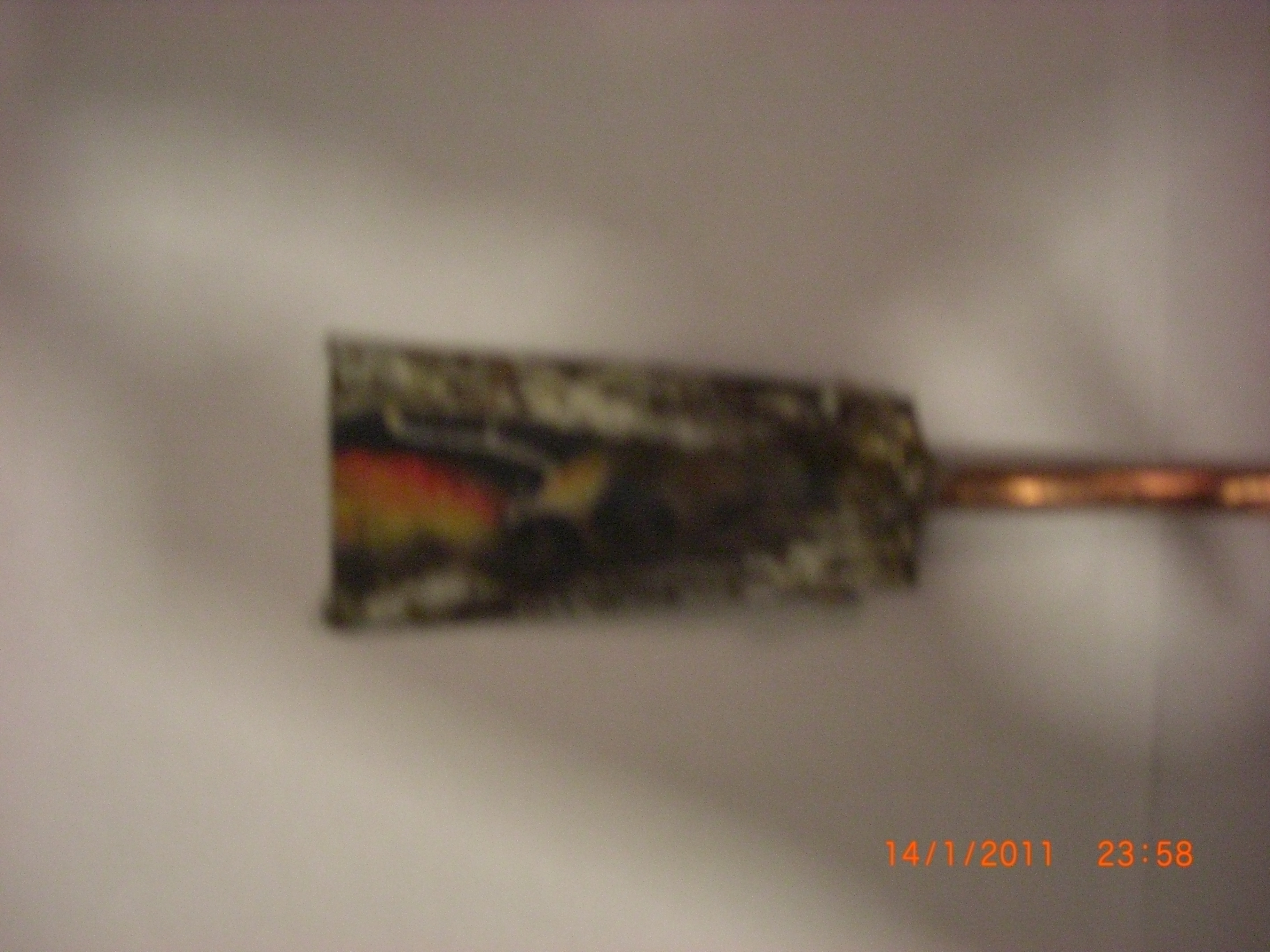 CIMG1138.JPG
