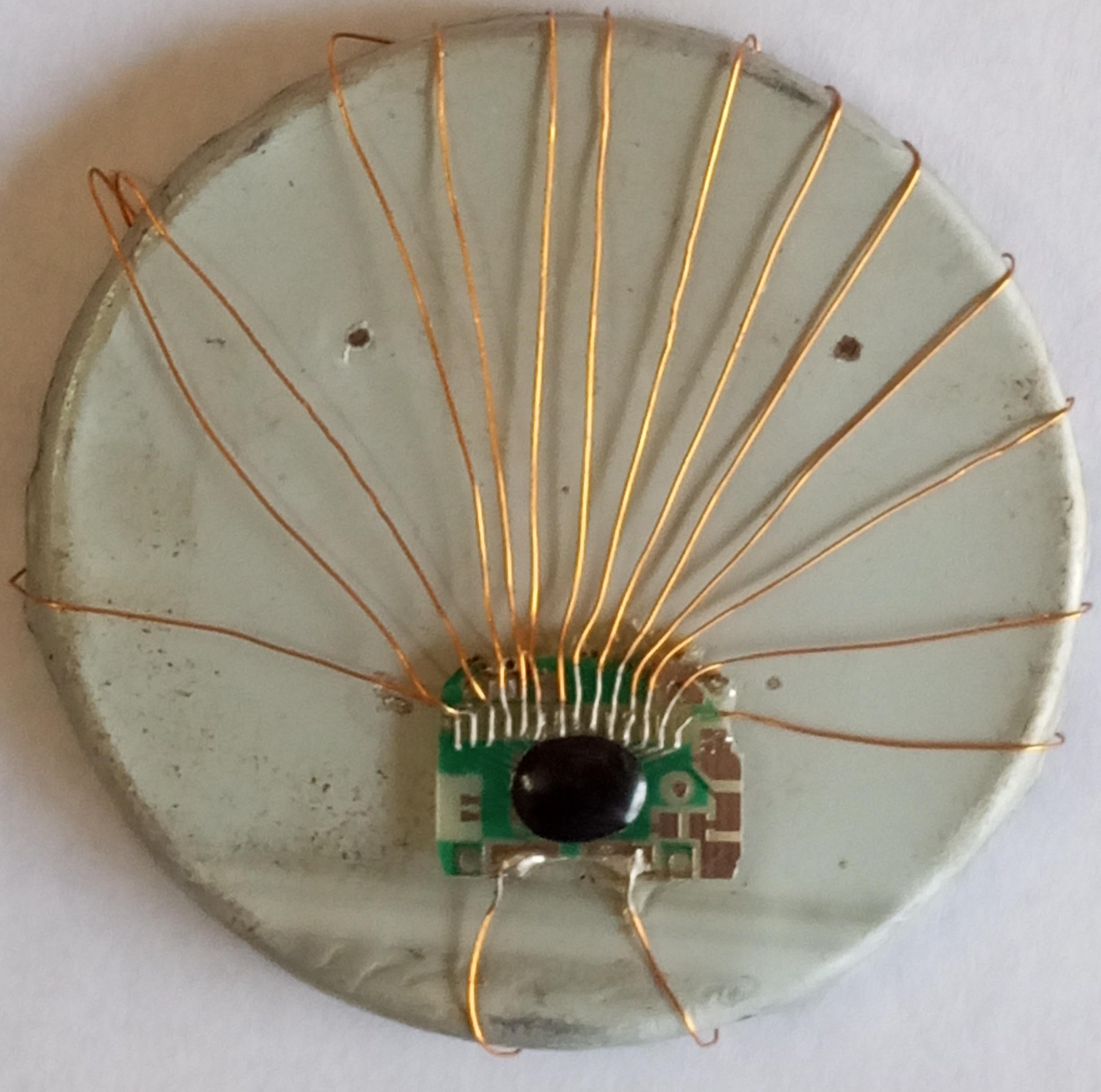 COB with wires attached.jpg