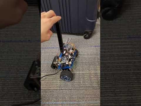 CRAZY CAR PENDULUM