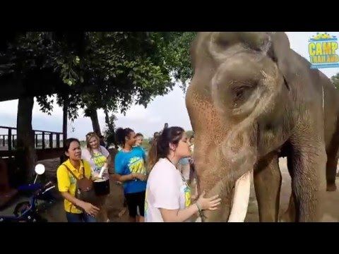 Camp Thailand