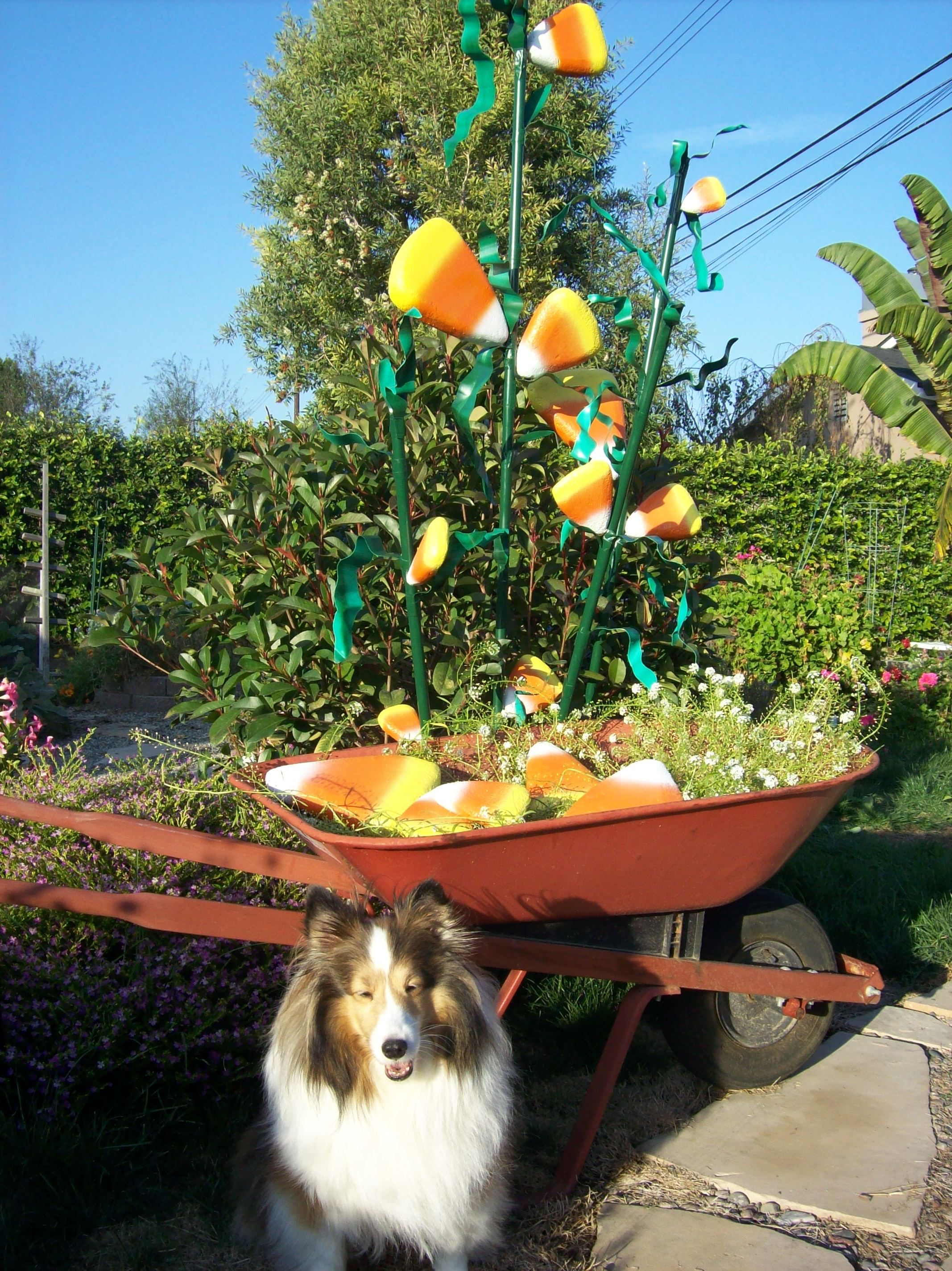 Candy corn 09.jpg