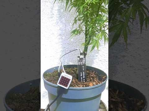 Capacitive Soil Moisture Sensor with M5Stack ATOM Matrix | M5Stack
