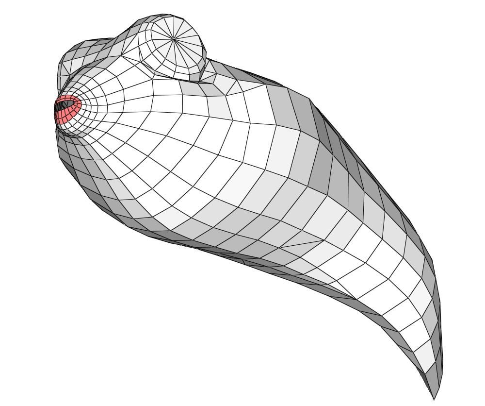 Captura de pantalla (10994).jpg