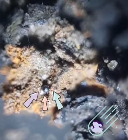 Captura de pantalla 2025-10-13 103305.png