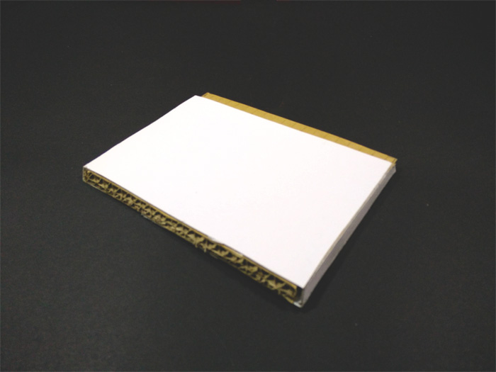 Cardboard_Shelves_010.jpg