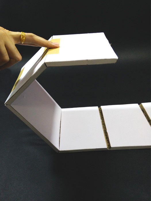 Cardboard_Shelves_016.jpg