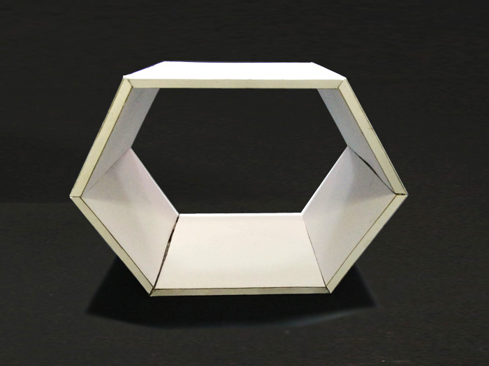 Cardboard_Shelves_021.jpg