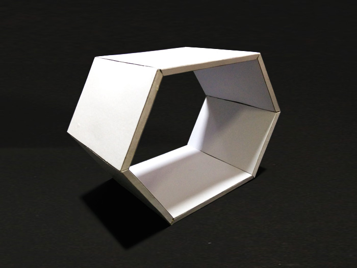 Cardboard_Shelves_022.jpg