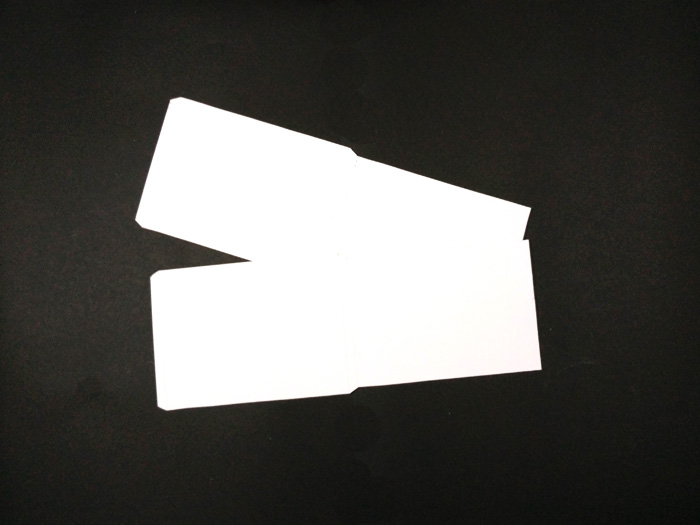 Cardboard_Shelves_03.jpg