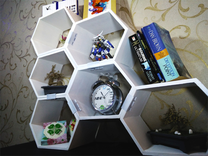 Cardboard_Shelves_034.jpg