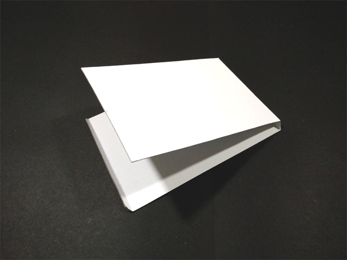 Cardboard_Shelves_07.jpg