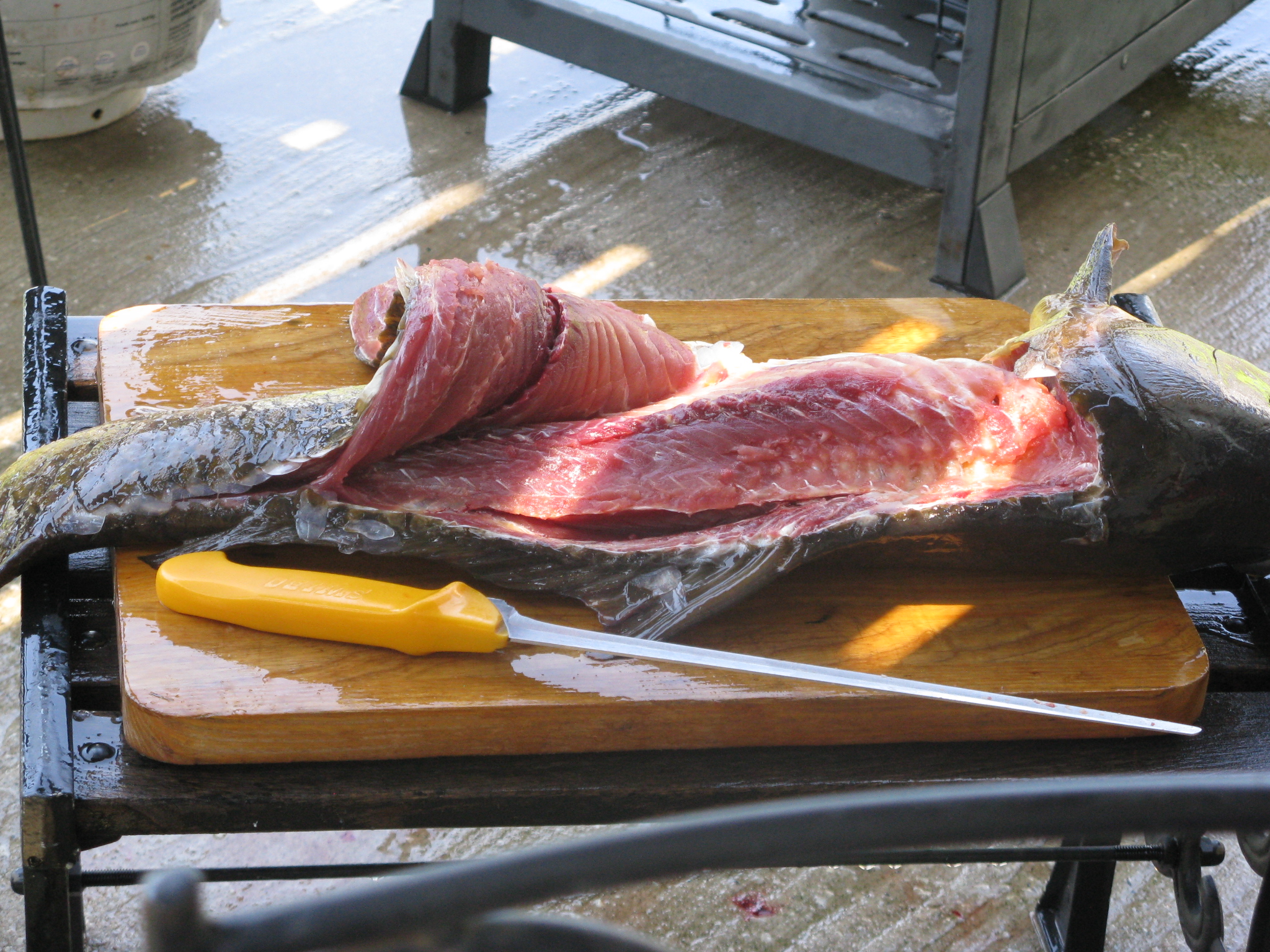 Carp Gefilte Fish 1f.JPG