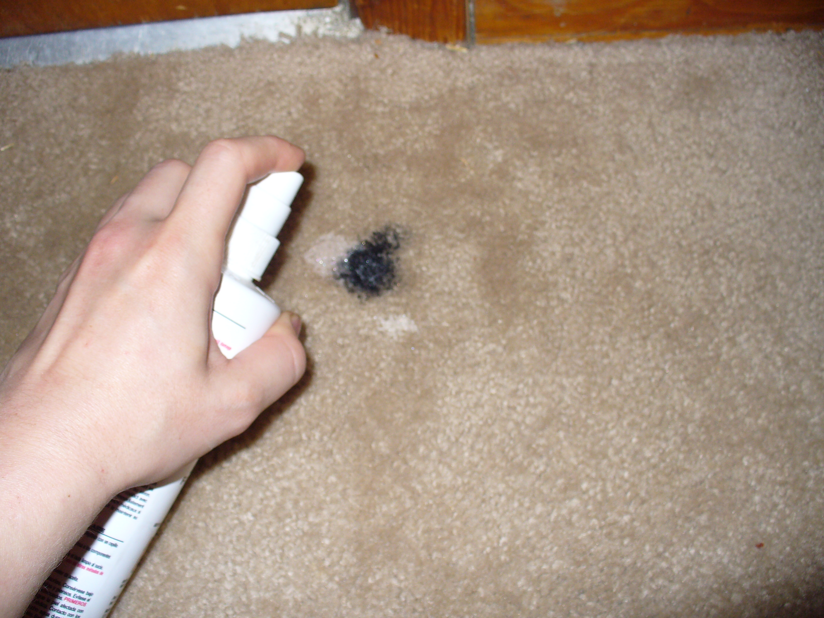 Carpet cleaning 029.JPG