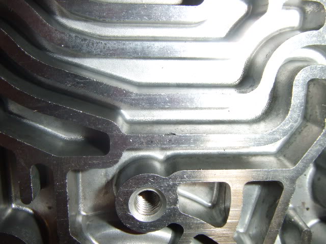 CaseCoverChip.jpg