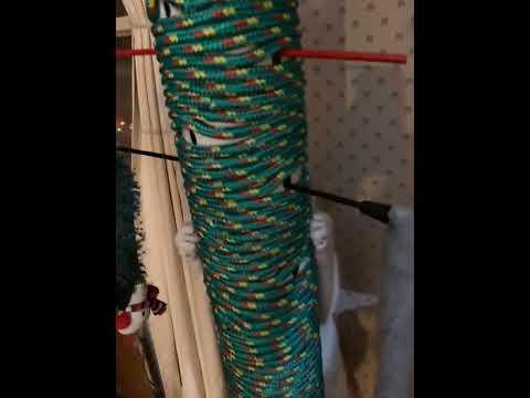 Cat Climbing the Cat Tree