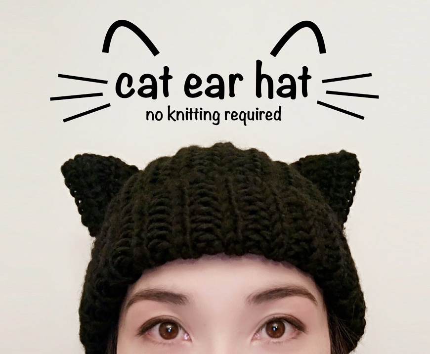 Cat Ear Hat.jpg