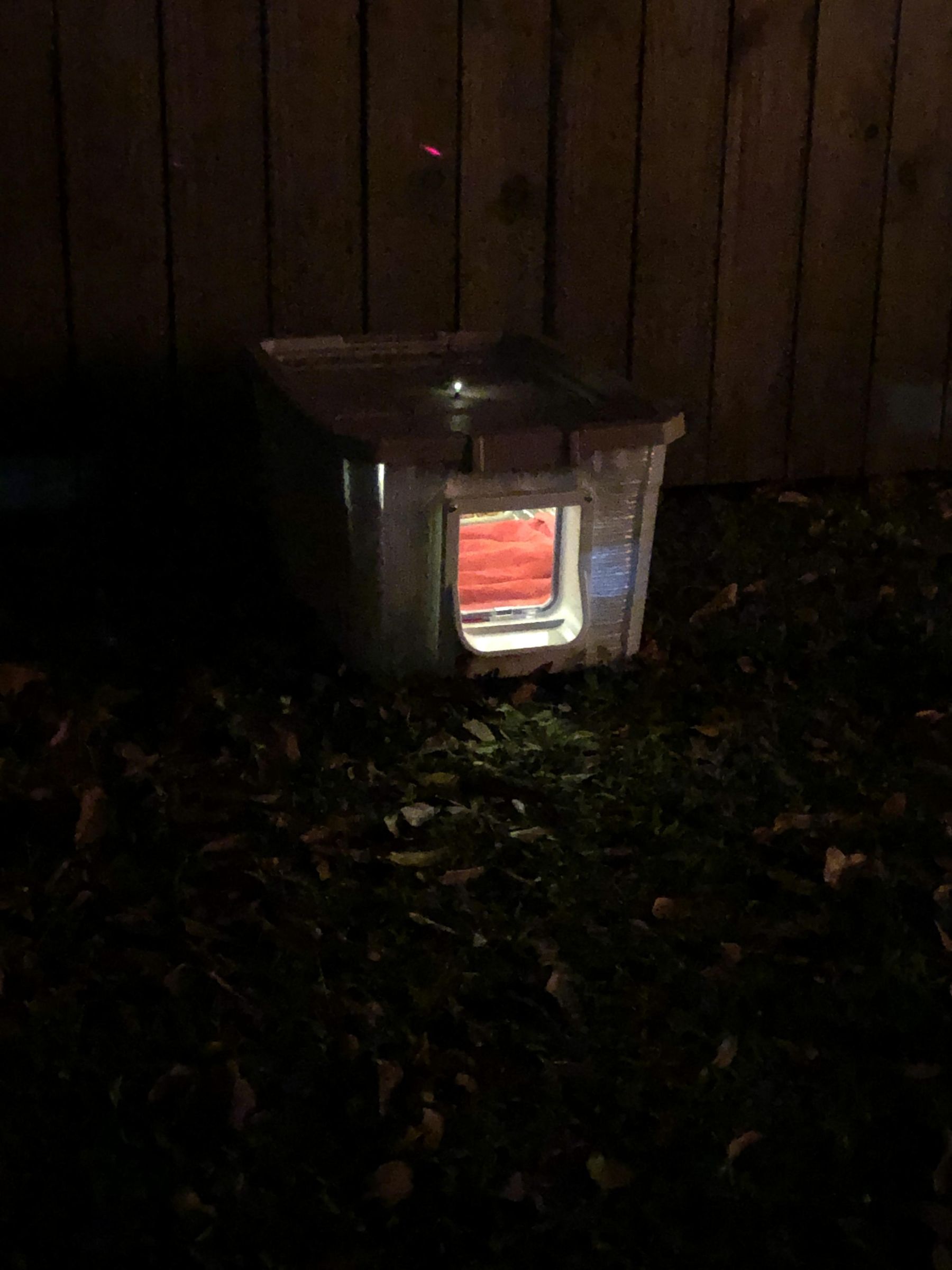 Cat House At Night.JPG