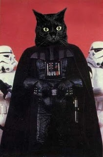 Cat Vader.jpg