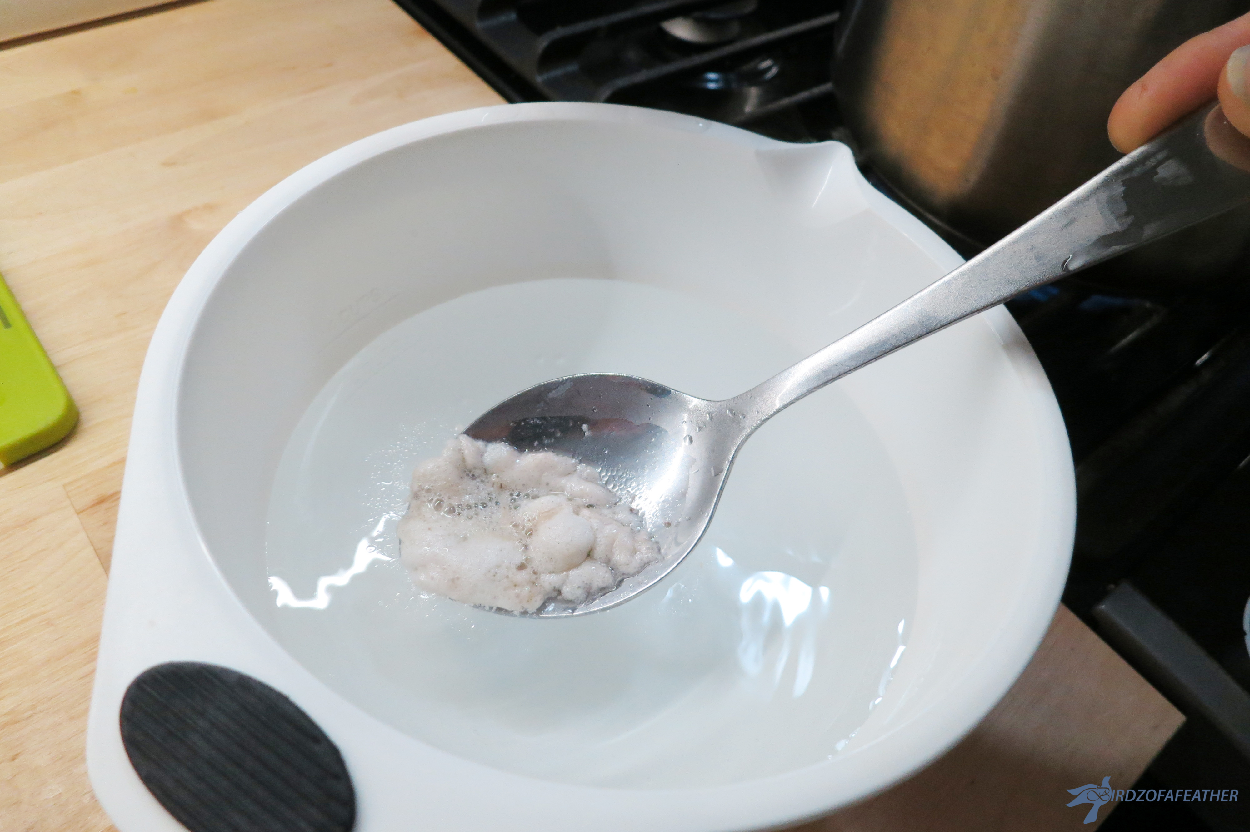 Chicken Soup 059_BOF.jpg