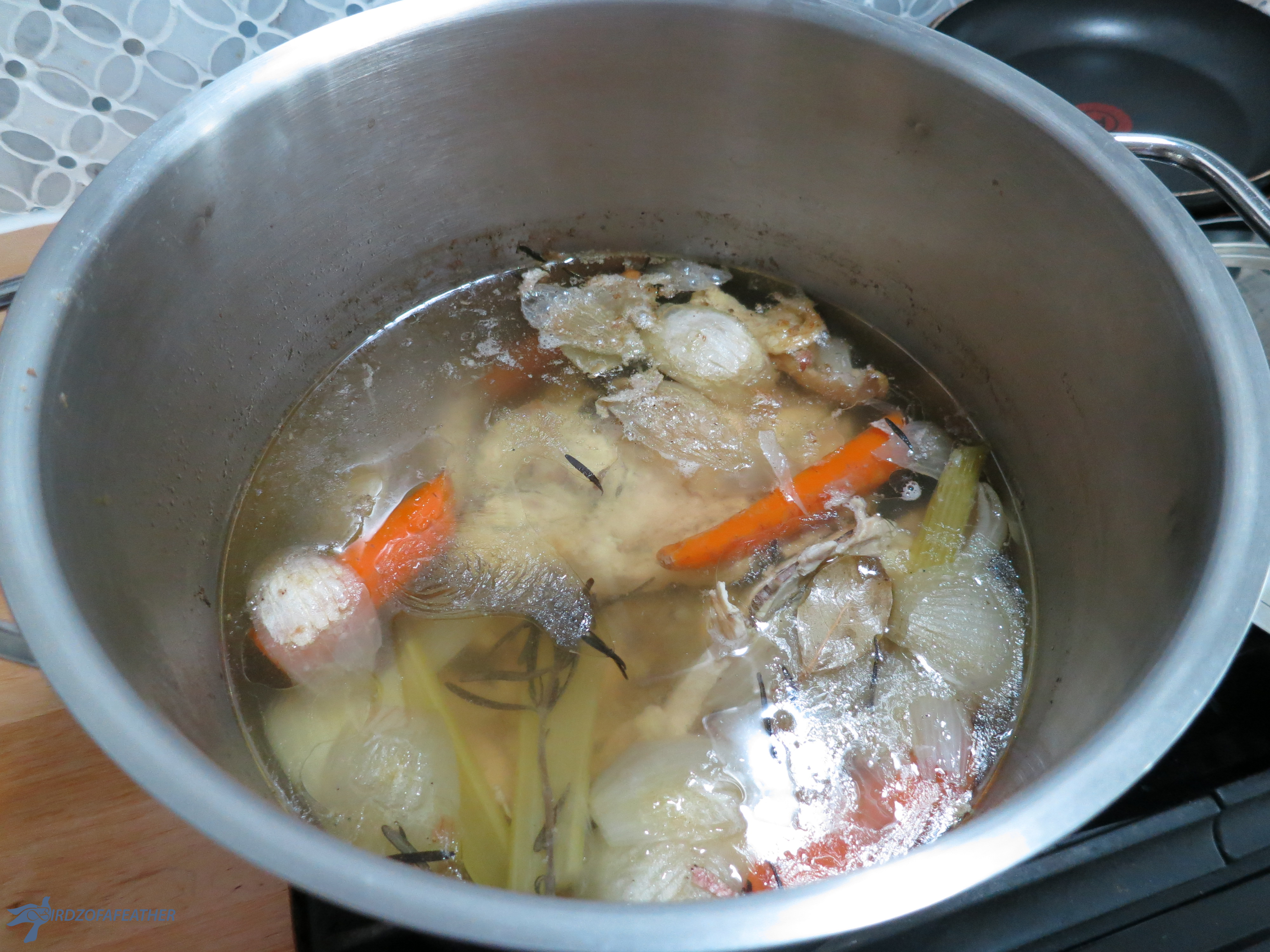 Chicken Soup with Matzo Balls 108_BOF.jpg