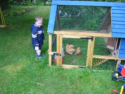 Chicken-Coop-Complete-With-Chickens.jpg