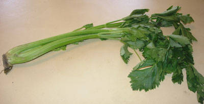 Chinese_Celery_Photo.jpg