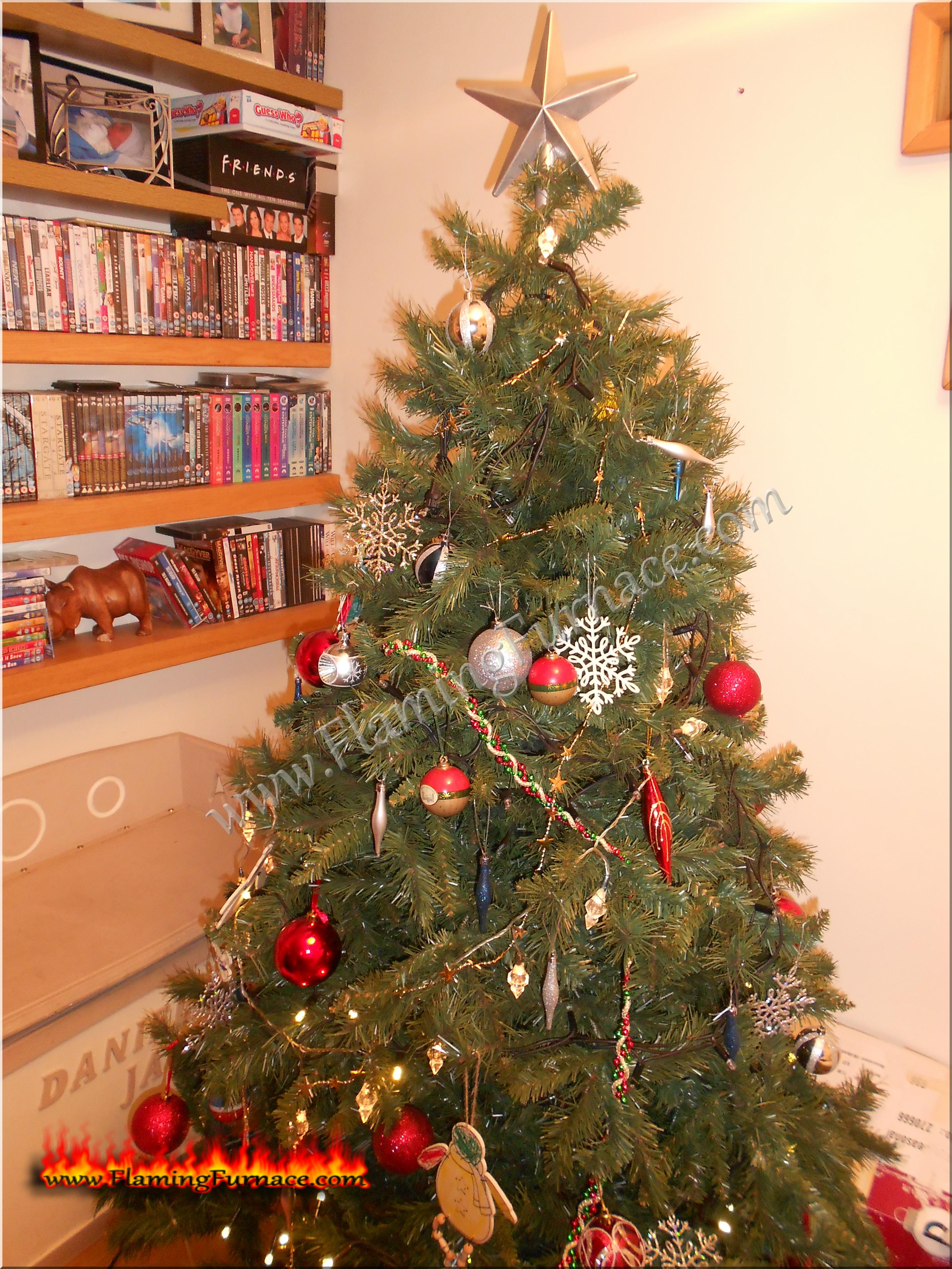 Christmas tree with aluminum star.JPG