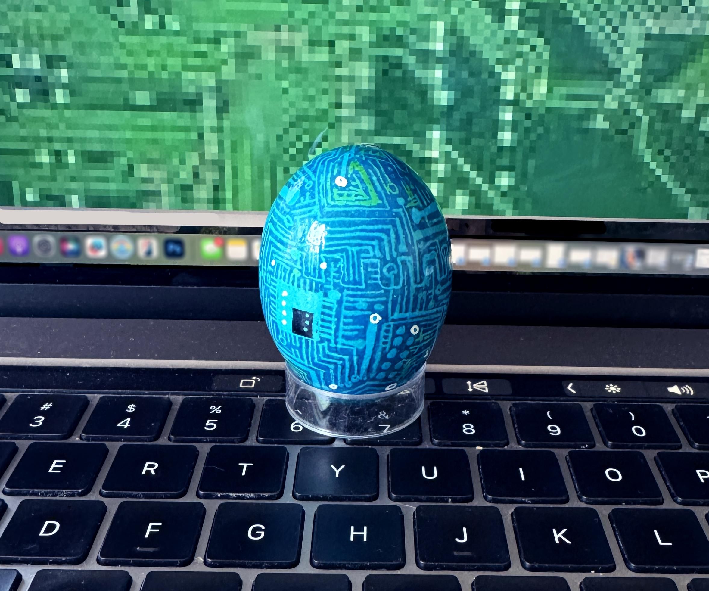 Circuit egg 5663.jpg