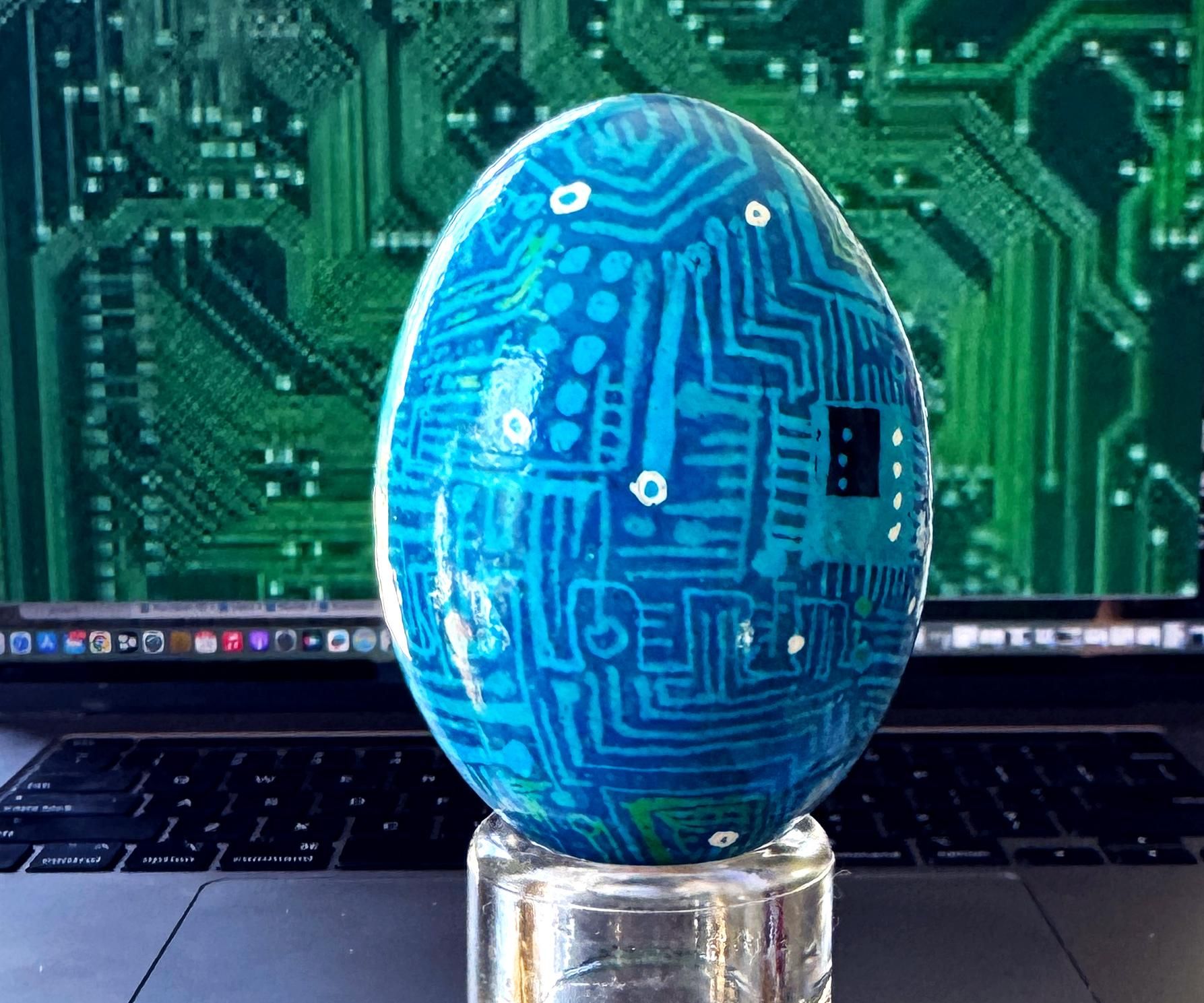 Circuit egg 5669.jpg