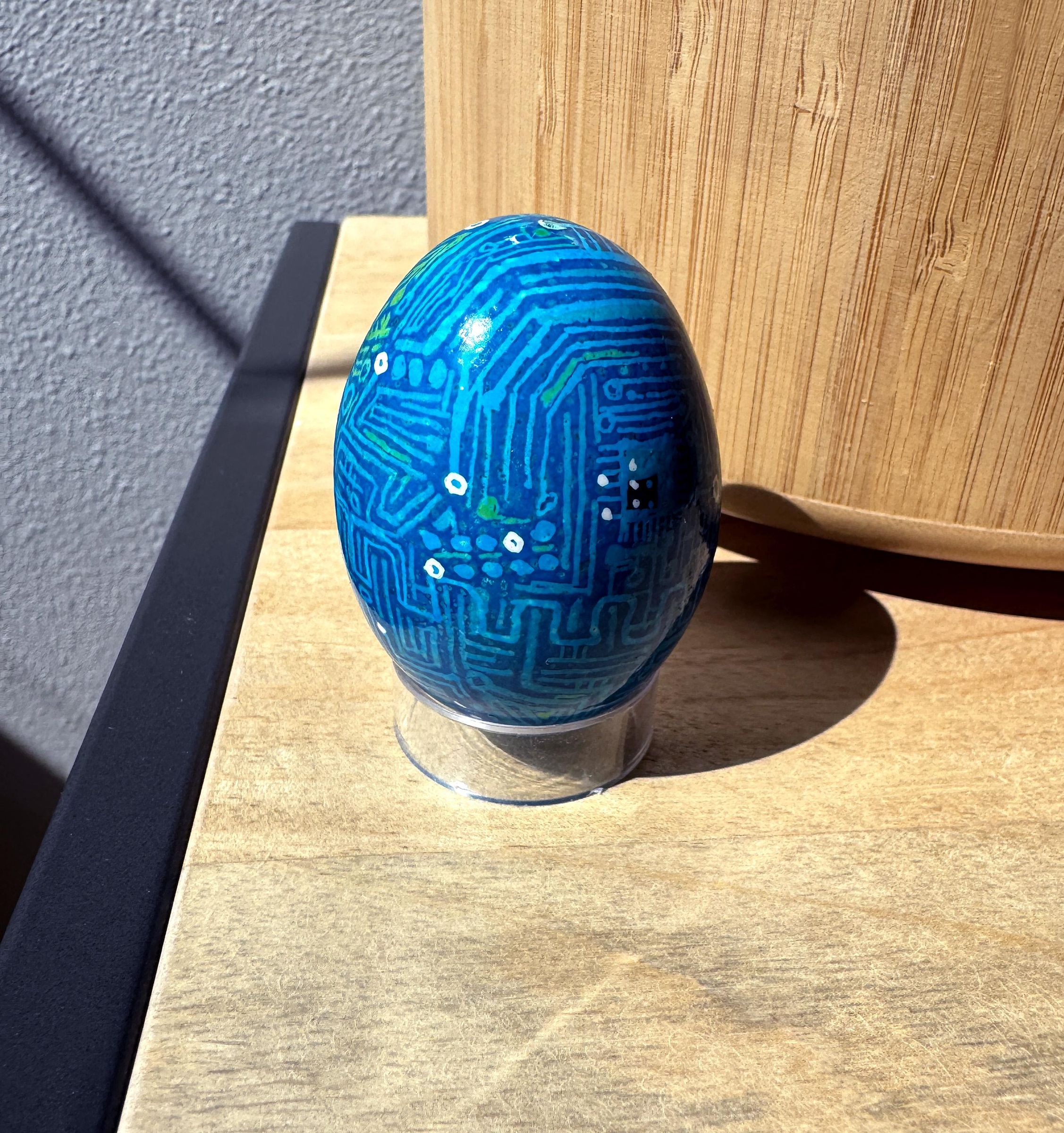 Circuit egg 5679.jpg