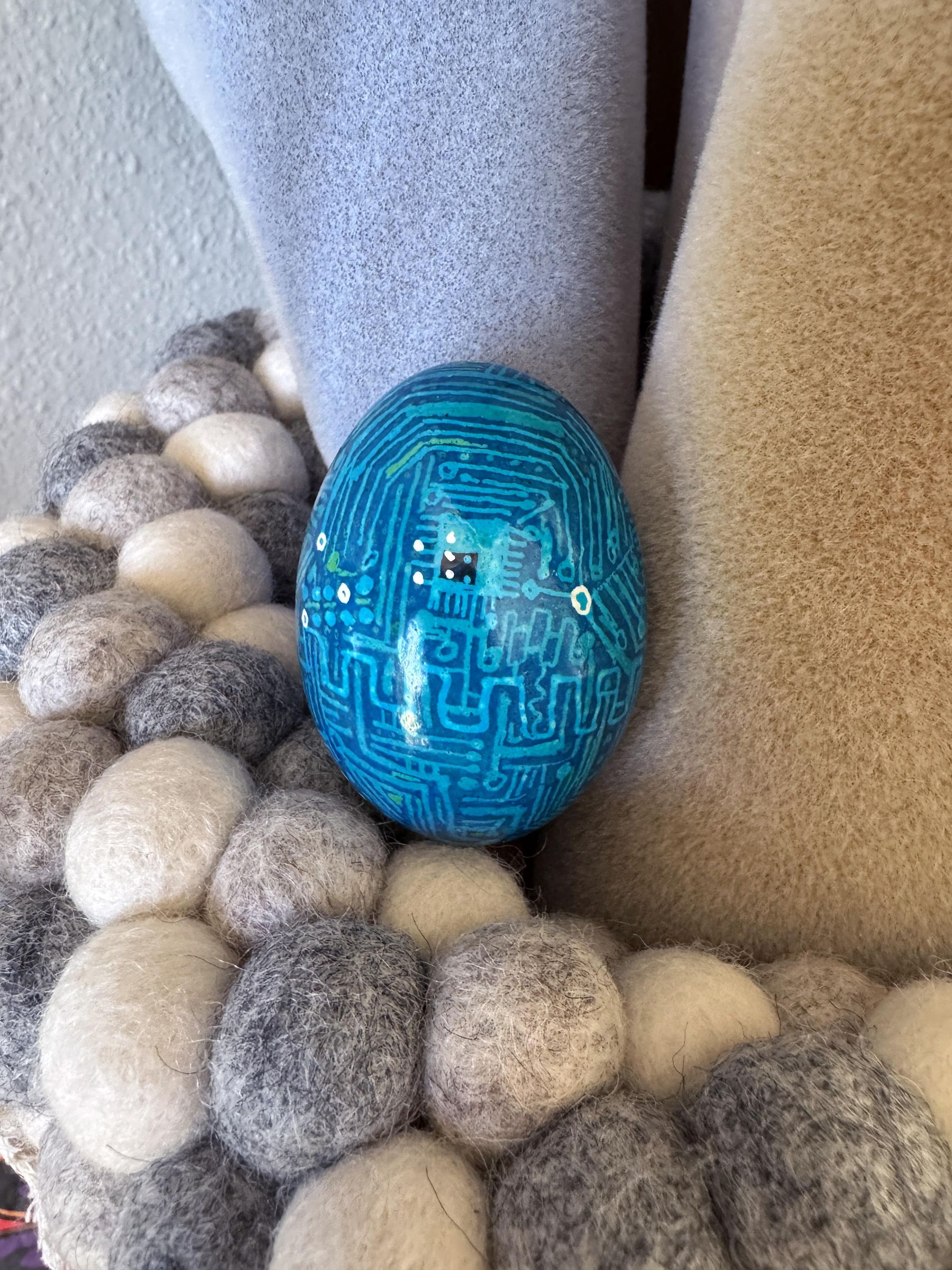 Circuit egg 5687.jpg