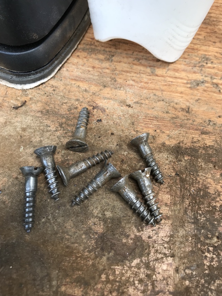 Cleaned Screws.JPG