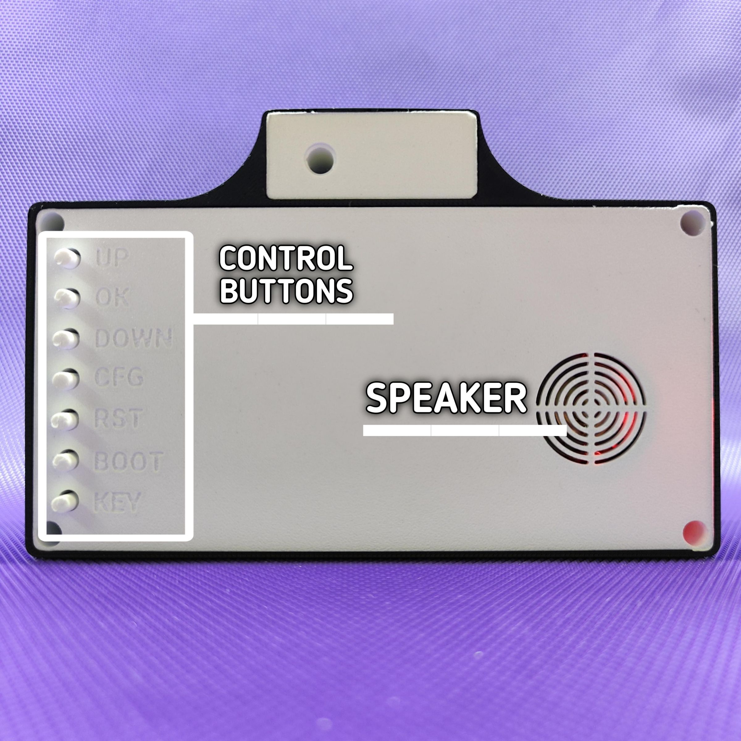 Clock Back Labelling.jpg