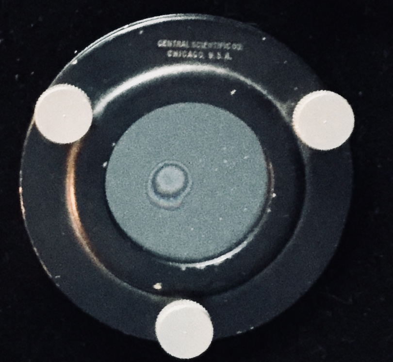 Close6354.jpg