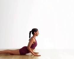 Cobra Pose Bhujangasana yoga pose.jpg