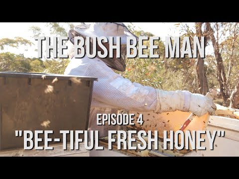 Collecting Honey from Beehives - Episode 3: &amp;quot;Bee-tiful Fresh Honey&amp;quot;