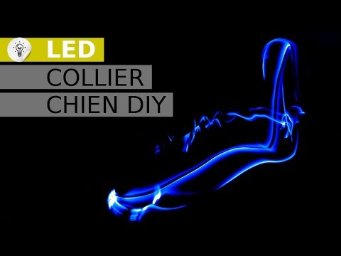 Collier lumineux - Collier chien Led - LED Dog Collar