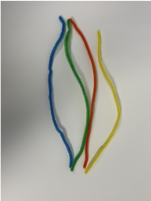 Colourful_Chameleon_Step_1_Picture_Only.png