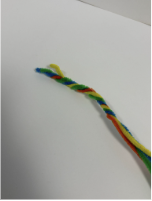 Colourful_Chameleon_Step_2_Picture_Only.png