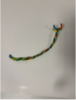 Colourful_Chameleon_Step_3_Picture_Only.png