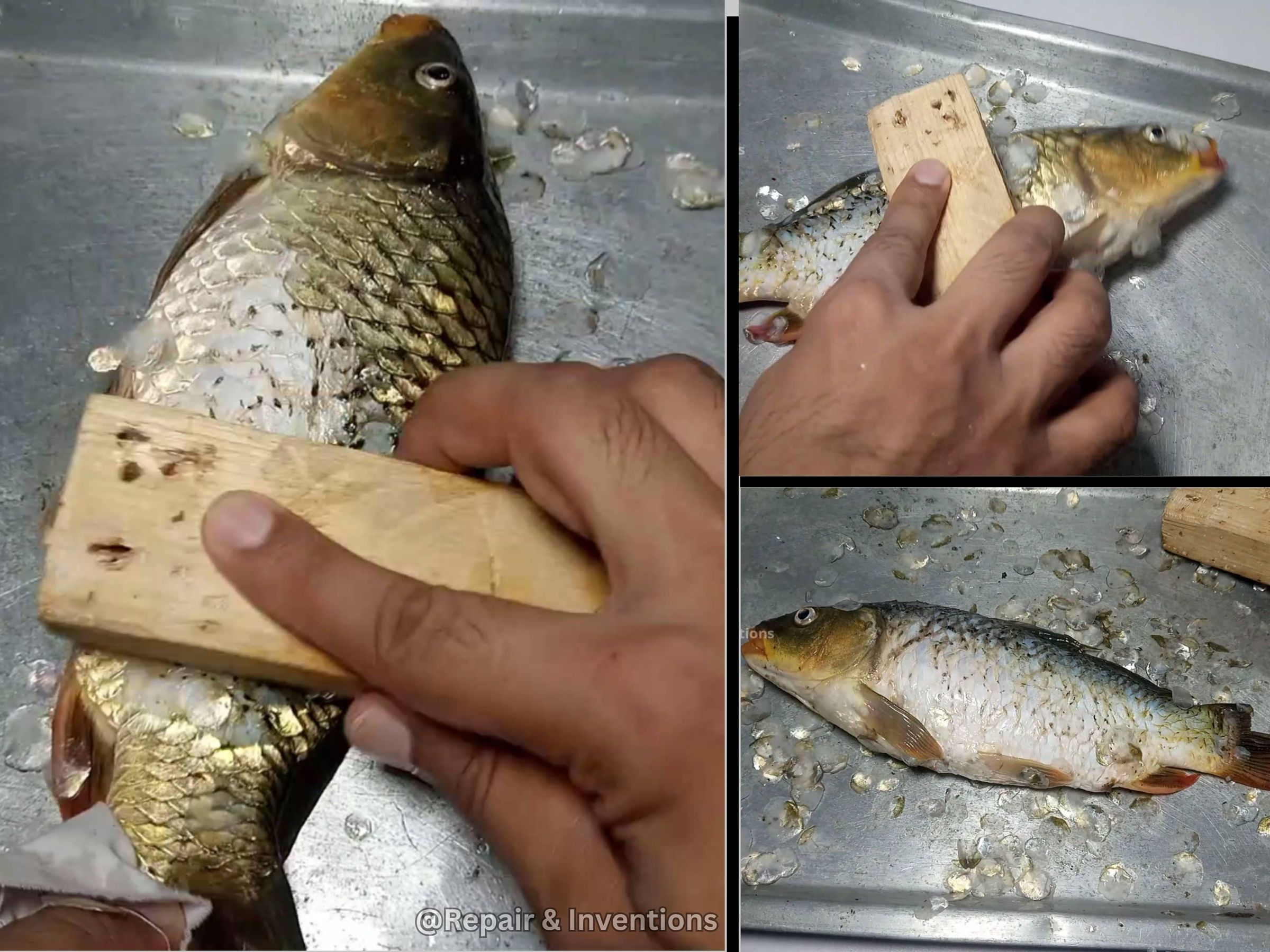 Complete the Fish Cleaning Process.jpg