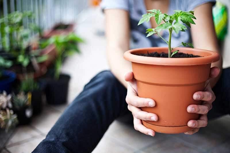 Container-Garden-Hands.jpg