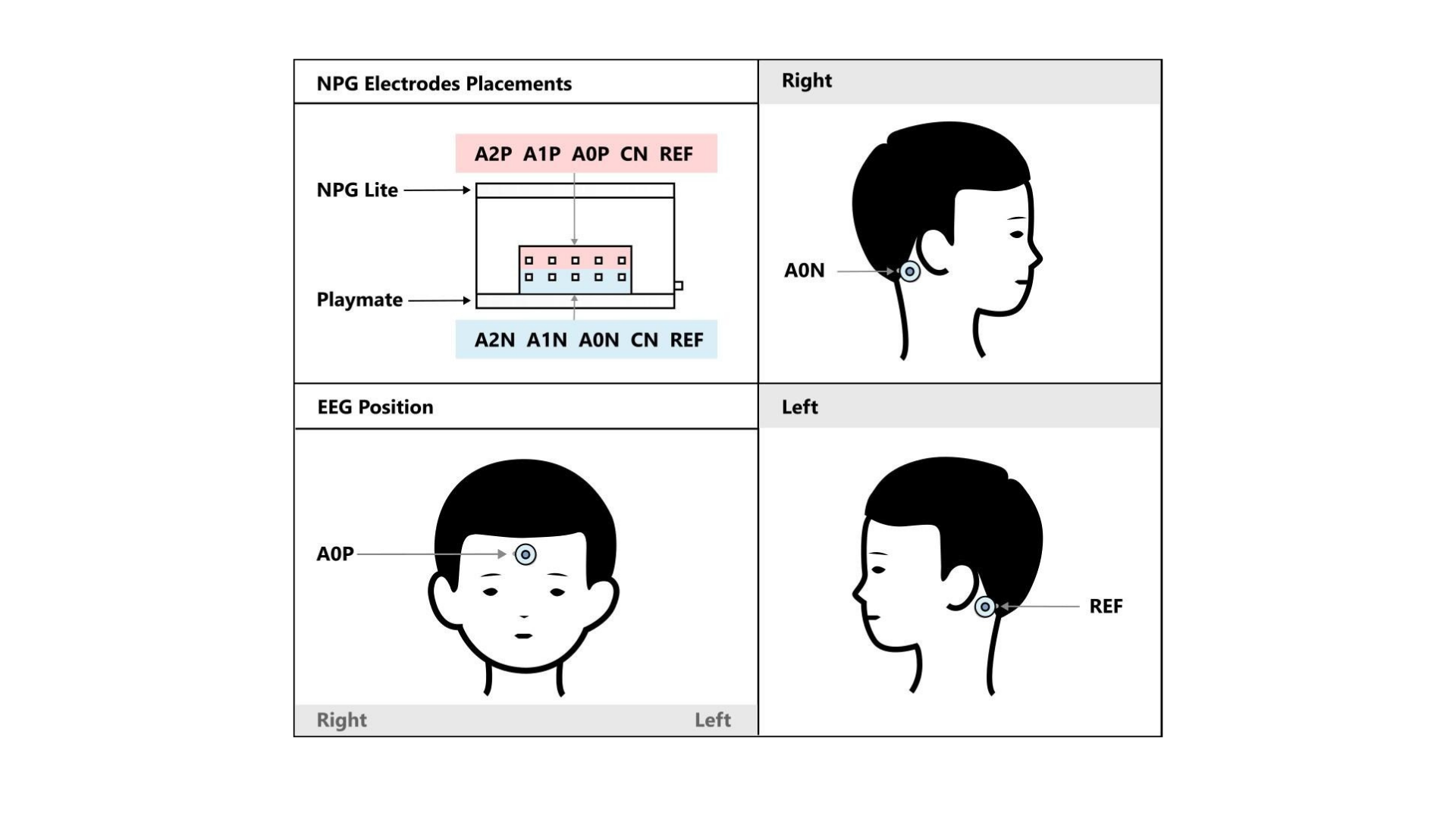 Control Your PC With Your Eyes &amp; Muscles using NPG Lite  instructable.png