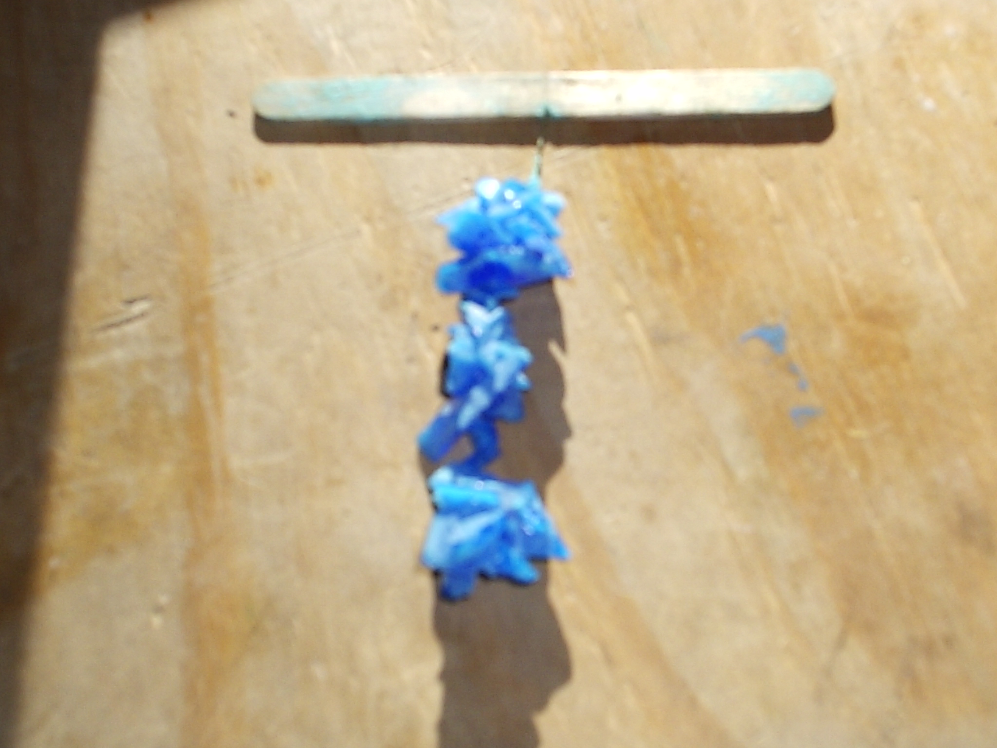 Copper Sulfate Seed Crystal One.JPG