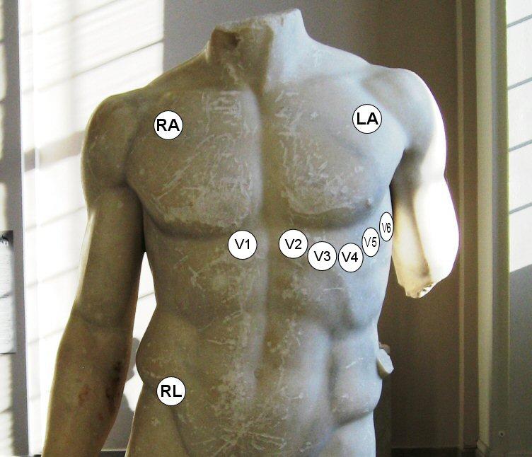Copy of Image16.jpg